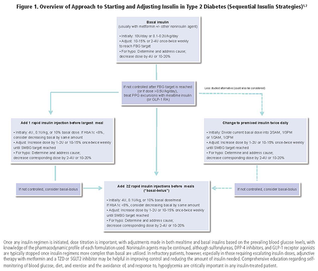 Type 2 Diabetes Insulin Guidelines