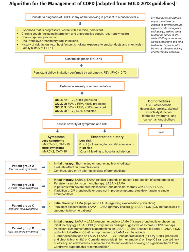 Diagnosis Of Copd Gold Guidelines