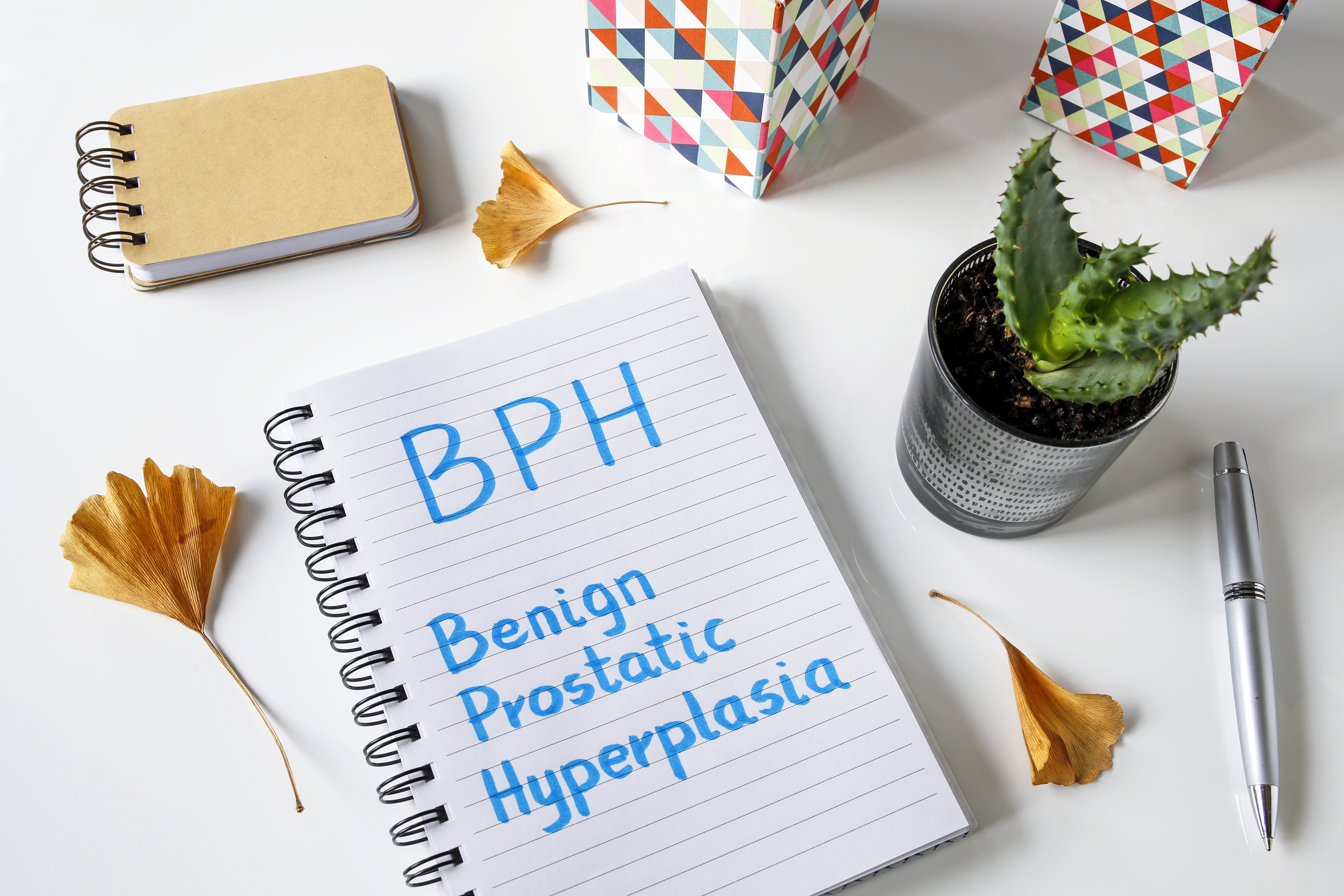 Benign Prostatic Hyperplasia - Treatment Options