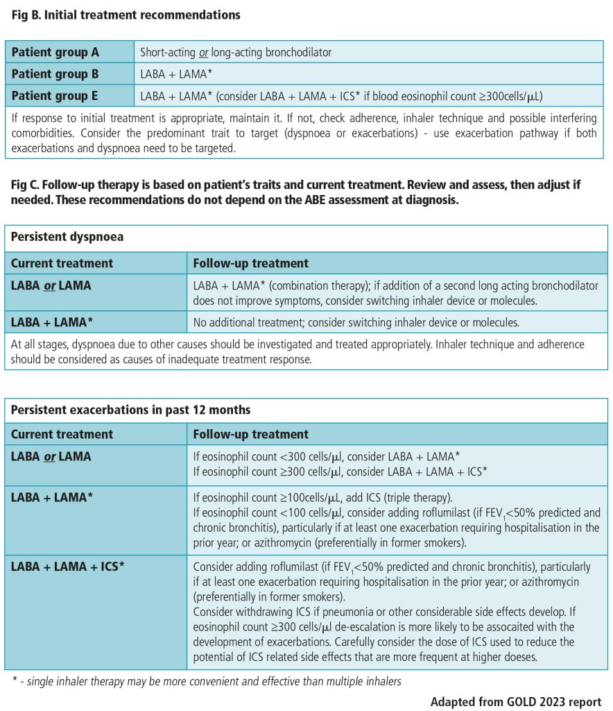 GOLD Report on the Diagnosis and Management of COPD – Summary of Key ...