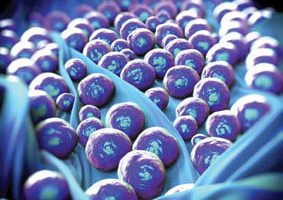 MRSA-bacteria
