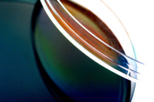 Pseudomonas-aeruginosa-sq