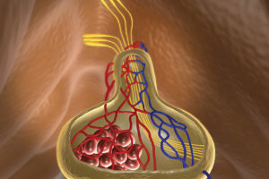 Pituitary-disease-508376217