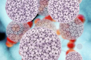 hpv-virus1-ThinkstockPhotos-486859143