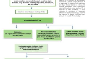 Fig-1-Diagnosis-and-treatment-flow-chart1-Allergic-rhinitis-768x1024