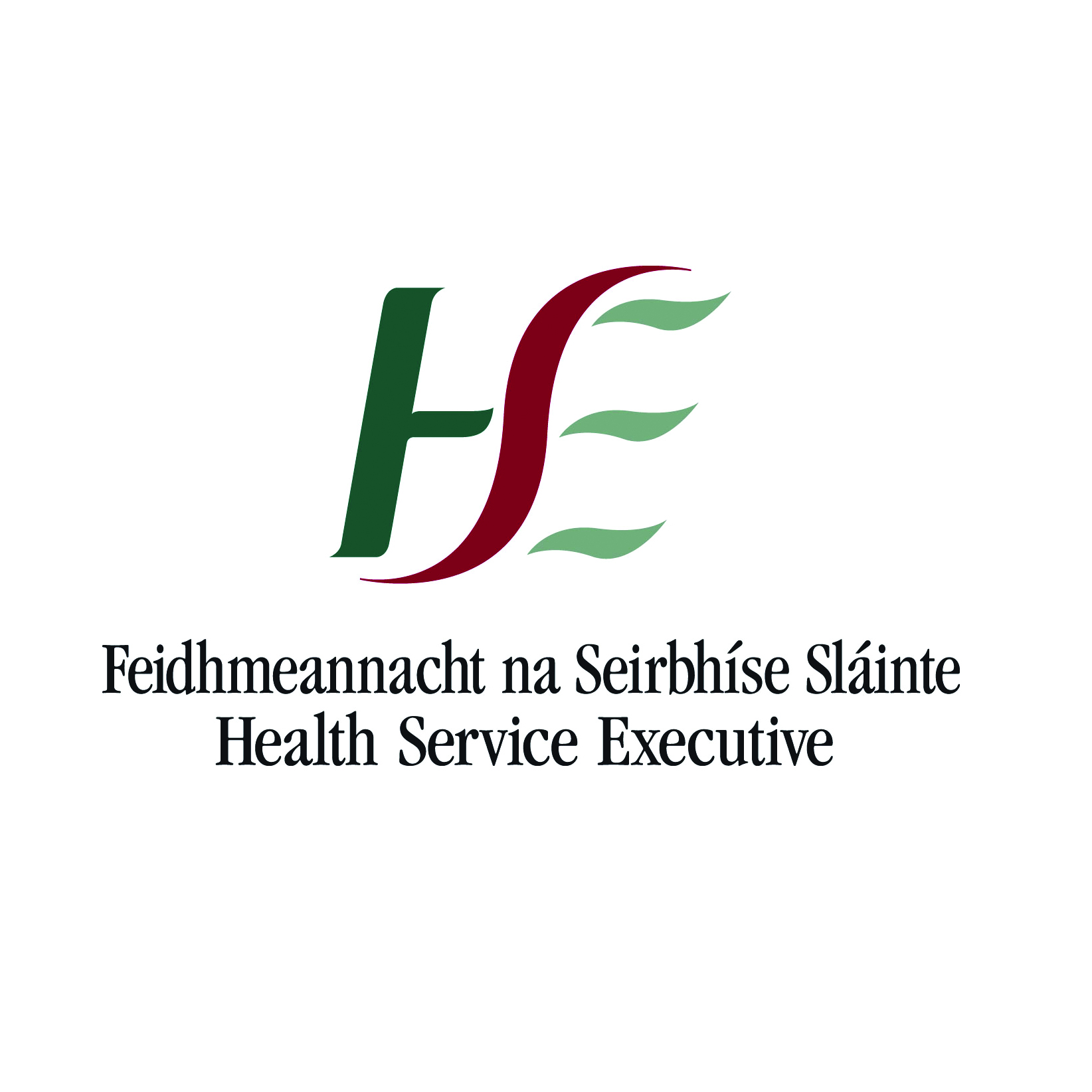 HSE to tender for variety of its medical services