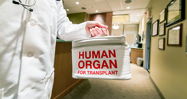 Organ transplant rates exceeded pre-Covid levels