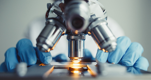 Newly discovered antibodies may prevent future coronavirus outbreaks - Vimarsana News