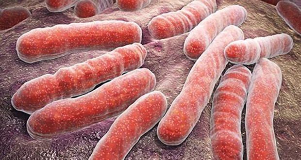 'Encouraging' results in new TB vaccine trial - Vimarsana News