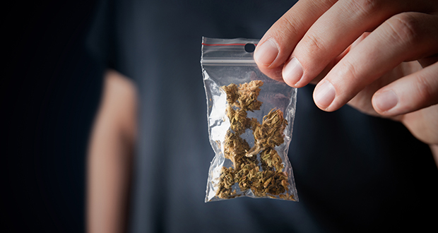 Should Ireland legalise the most widely used drug in high (income) countries? - Vimarsana News