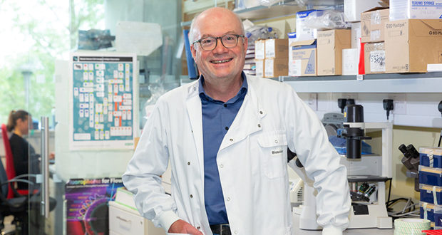 University of Galway to lead European consortium developing treatments ...