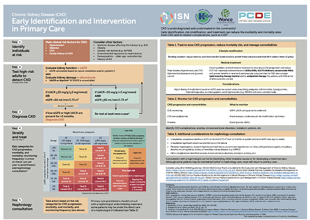 Chronic Kidney Disease: Perspectives for World Kidney Day 2024