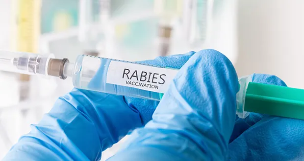 Dr Seamus O’Dea, who carried out vital services for patients with rabies, botulism and diphtheria on national level for several years, retired in July