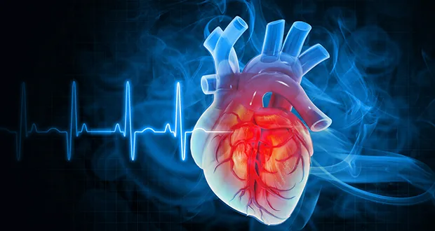 You might be interested in…Cardiovascular Disease (Part 1)