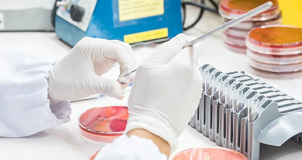 Hospital-acquired infections to be monitored nationally as part of new plan on antimicrobial resistance