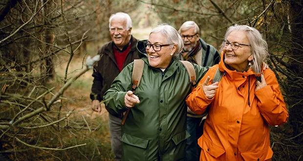 You might be interested in…Lifestyle and Health