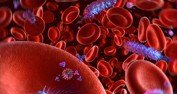 Ireland could use its EU presidency to elevate sepsis on the European health agenda