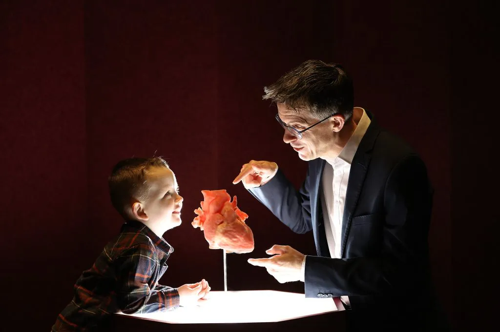 New exhibition explores the science behind every heartbeat