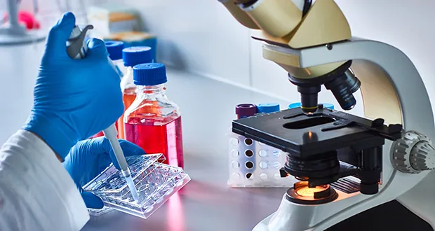 ECL report shows that cancer medicine pricing is a democratic issue and a question of who healthcare serves