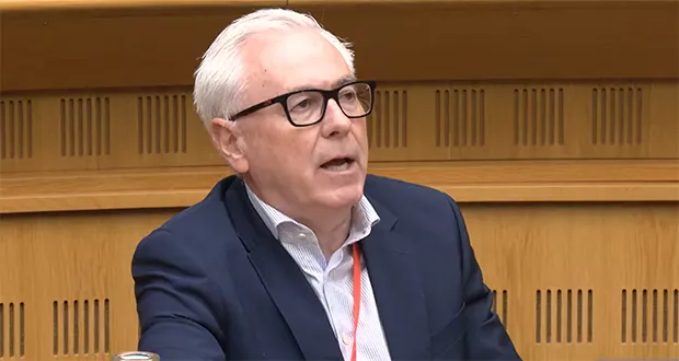 Prof Séan Daly argued that allowing this care meant women had a choice as to their pregnancy-related treatment, but said that Health Minister ‘wasn’t happy’ with the decision