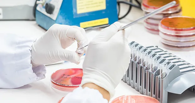 EU meeting calls for coordinated action on sepsis