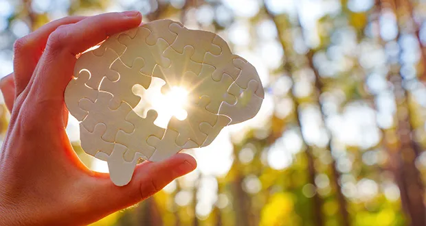 Ireland Hosts Major European Health Conference on Early Intervention | Integri News